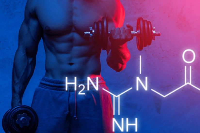 Does Creatine Powder Boost Your Energy Levels?